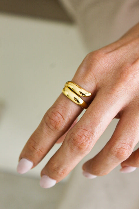 Anillo oruga