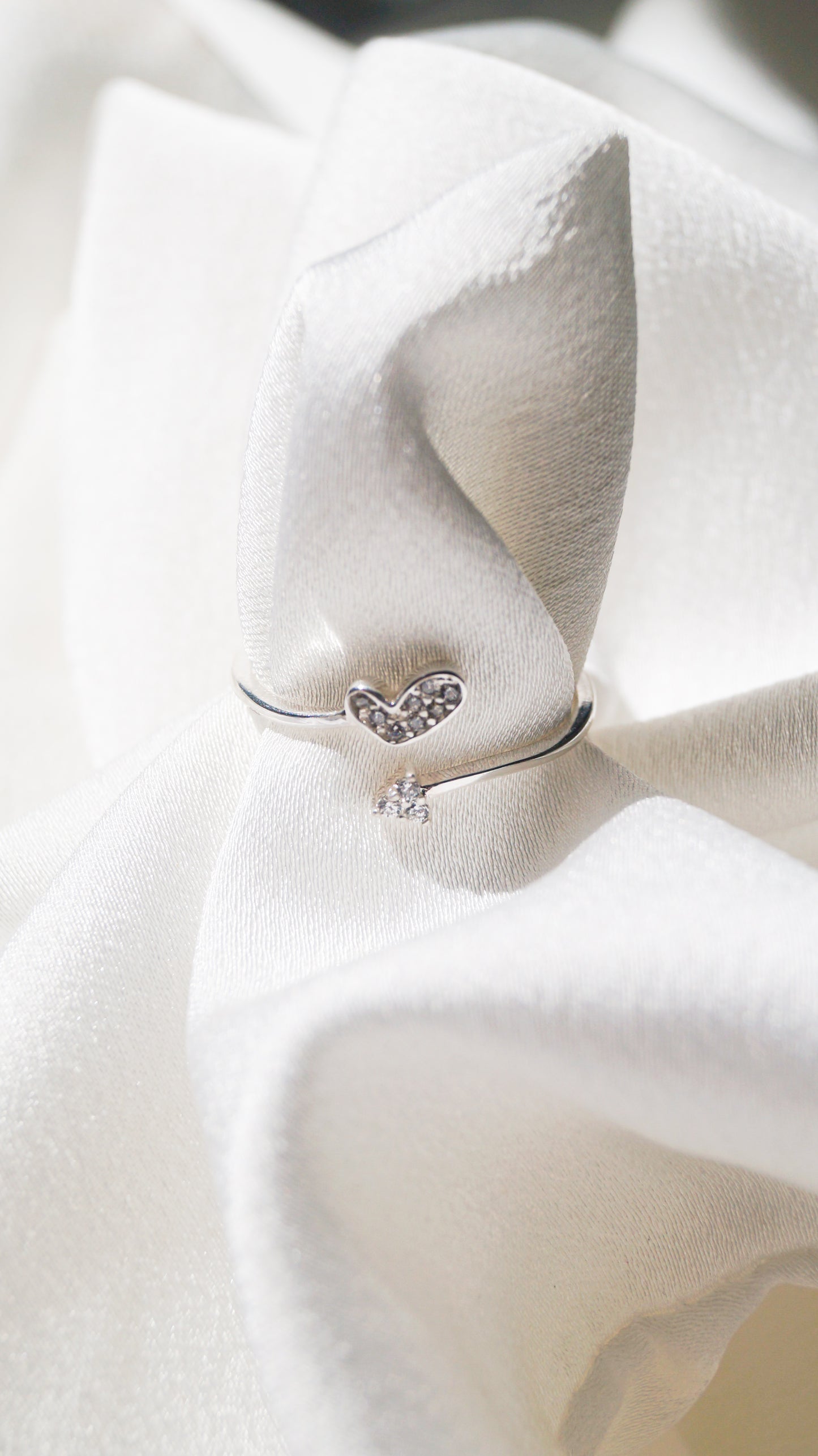 Anillo Francia