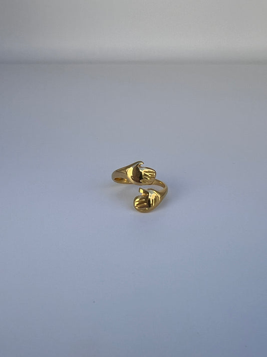 Anillo abrazo