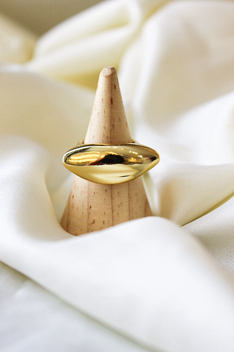 Anillo barra
